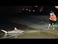Shark Fishing Battle Dude Perfect