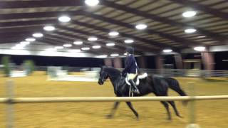 Haley Curry riding Salem, Tea for Two, MHJA Large Pony Hunter Course