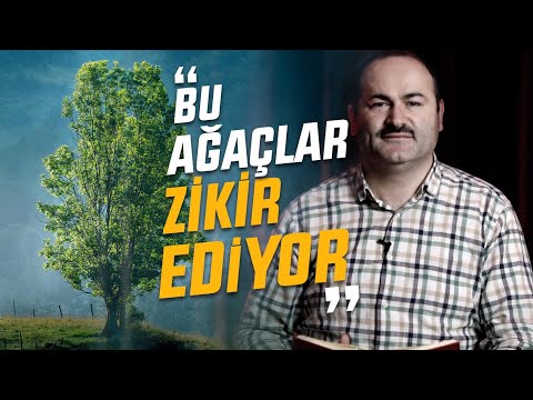 ALLAH'IN AĞAÇLARA VERDİĞİ BÜYÜK GİZEM KEŞFEDİLDİ | Said Şaşmaz