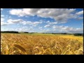 John Denver: Let It Be