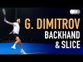 Grigor Dimitrov - Court Level Practice Backhand & Backhand Slice [Slow Motion] (2021) [240fps]