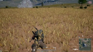pubg テスト