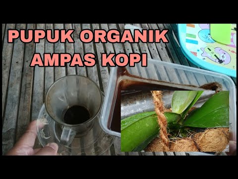 PUPUK ORGANIK CAIR DARI AMPAS KOPI (POC KOPI) UNTUK ANGGREK