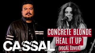 CONCRETE BLONDE - HEAL IT UP (VOCAL COVER) Ricardo Cassal