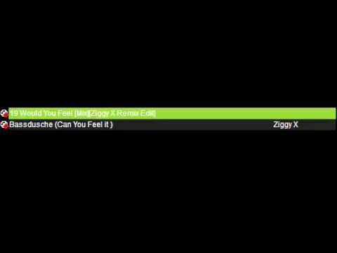 C Bool feat.Ziggy x  -Would you Feel VS Ziggy x feat.Bassdusche  - Can you Feel it