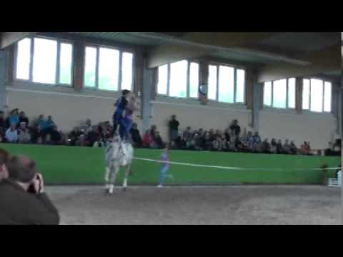 Kür Juniorteam Schäferhof Schenkenberg 2011