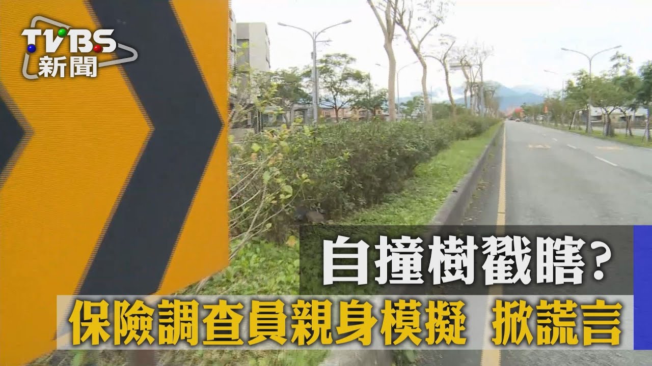 自撞樹戳瞎?保險調查員親身模擬 掀謊言