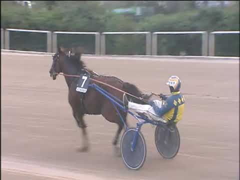 Trotto 22/11/2019 - 5ª corsa