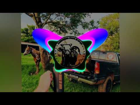 DJ Lucas Beat e Pedro Paulo & Alex - Ser Solteiro é Foda.