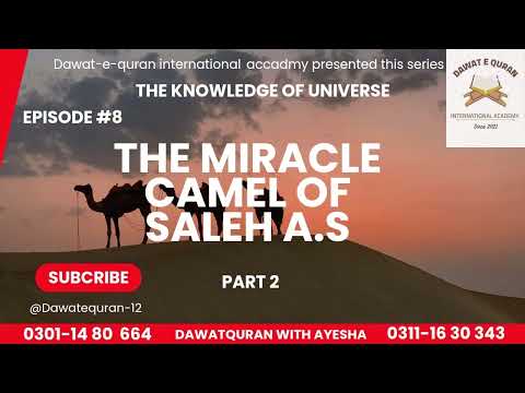 Chapter 08:20 Part 2 - Hazrat Saleh AS & Qoum e Samood Madain e Saleh (People Of Thamud Azaab)