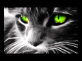 Techno: Mauro Picotto - Komodo