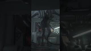 A very close Xenomorph Encounter