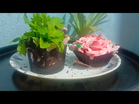 how to make realistic edible chocolate planters with flowers...