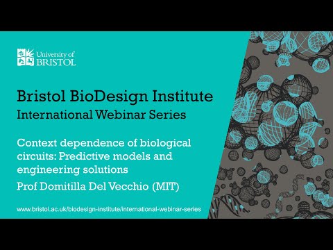 BBI International Webinar Series - Prof Domitilla Del Vecchio (MIT)