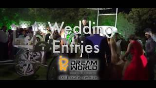 Dream World Wedding Entry