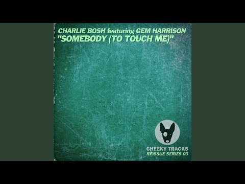 Somebody (To Touch Me) (Psychoziz Remix)