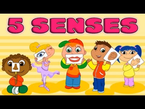 Five Senses: Taste, Smell, Sight, Hearing, Touch