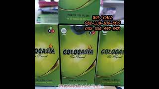 Download lagu Kapsul Colocasia asli || Colocasia penambah cairan lutut atau sendi 082338106800 mp3 Download lagu Kapsul Colocasia asli || Colocasia penambah cairan lutut atau sendi 082338106800 mp3