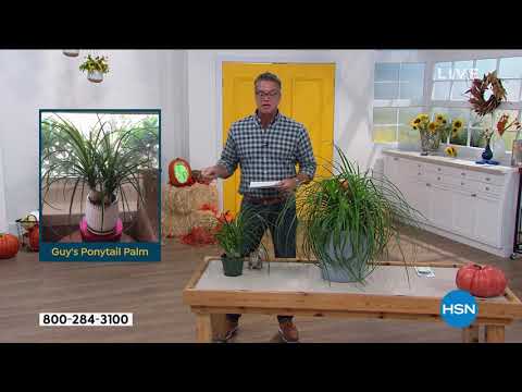 HSN | AT Home 09.25.2020 - 09 AM