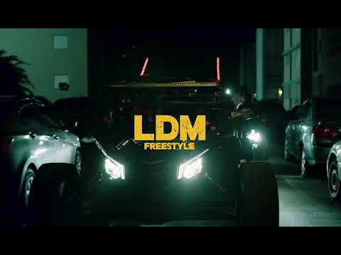 Miniatura de LDM Freestyle