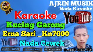 Download lagu Erna Sari - Kucing Garong [Karaoke] Kn7000 - Nada Wanita | Ajrin Musik mp3
