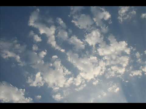 01. Pestek - Tato Ref. MSR " WOLNA GRA "