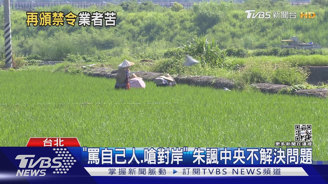 陸又禁台11項產品　油類、食用穀物為主