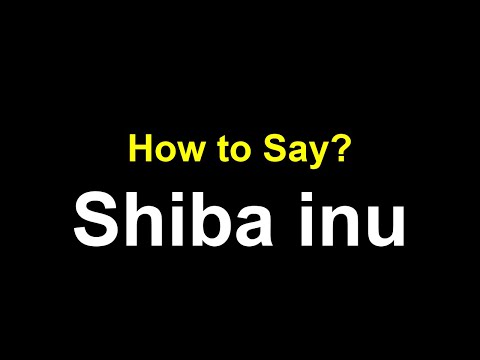 Shiba Inu Pronunciation in British Accent Dog Bread name