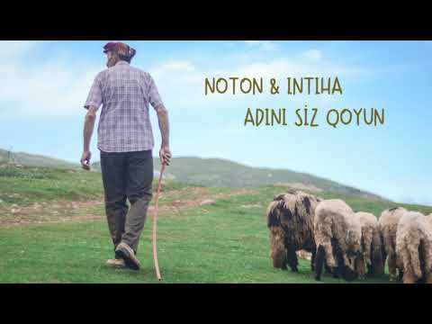 NOTON & INTIHA - Adını siz qoyun (Official Audio)