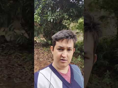 cachoeira do sítio do meu pai, em Ervália MG