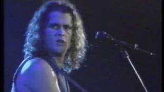 CARLOS VIVES  -   ALTOS  DEL  ROSARIO