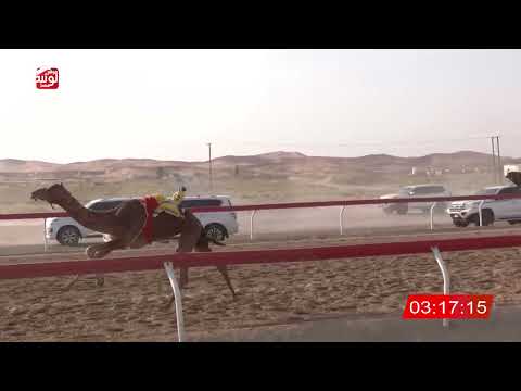 9 alsaad