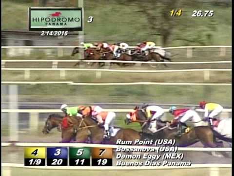 3RA CARRERA DEL  DOMINGO 14  DE FEBRERO DE 2016