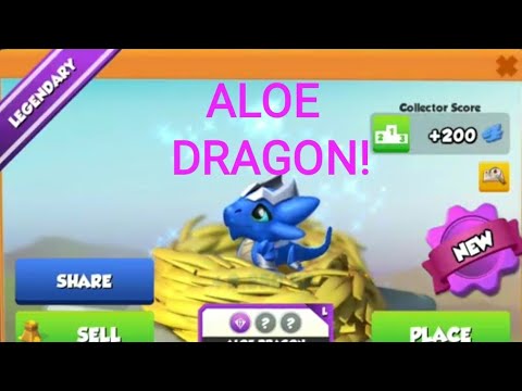 HATCHING ALOE DRAGON IN DML