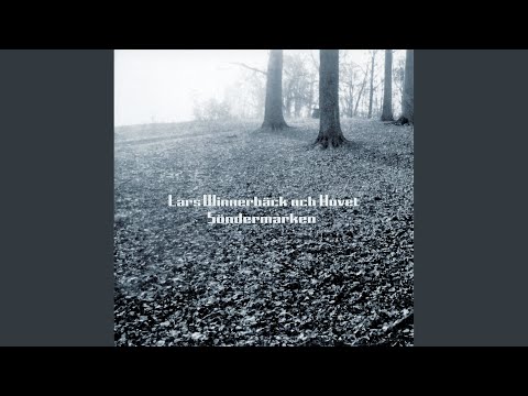 Vanner - Lars Winnerback