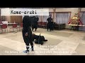 [The clipping of Kawakami sensei special training program] Kame-aruki 亀歩き