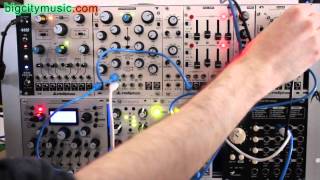 Video thumbnail for Intellijel Shapeshifter, Dual ADSR & Mutable Instruments Streams, Clouds by bigcitymusic