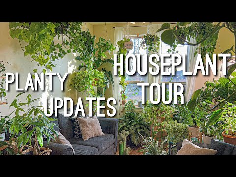 Living Room Jungle Tour | Houseplant Updates 🪴 | Apartment Plant Tour
