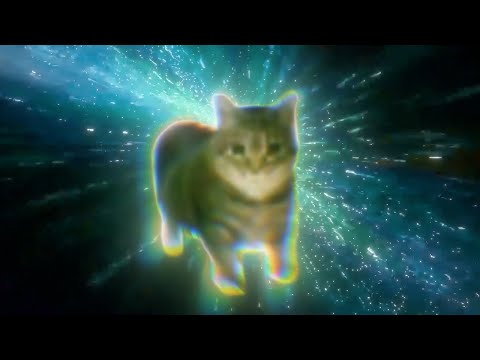 Oiiai Cat Psytrance Remix