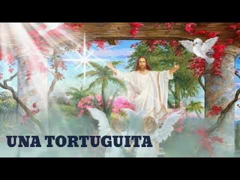 download lagu mp3 mp4 Una Tortuguita Letra, download lagu Una Tortuguita Letra gratis, unduh video klip Download Una Tortuguita Letra Mp3 dan Mp4 Unlimited Gratis