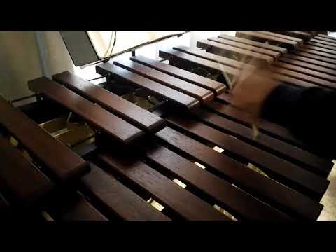 Inni di lode N°86: O Signor Tu ricolmasti Marimba Cover
