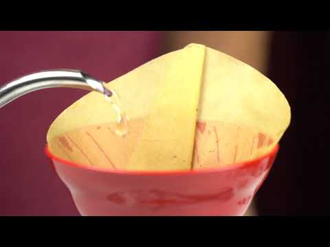 The Melitta Coffee Filter Hack for Hario V60 (#2)