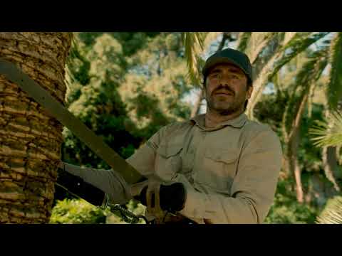 Una vida mejor 30 s Nov -Trailer Cinelatino | Cinelatino