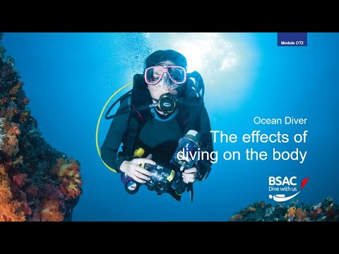 OT2 - The body and the effects of diving