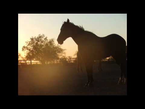 Life's too short [150]