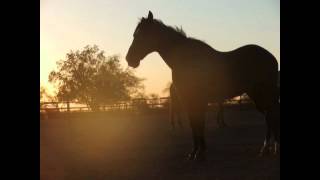 Life's too short [150]