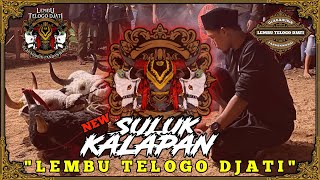 Download lagu DJ BANTENGAN ‼️KALAPAN  'LEMBU TELOGO DJATI' (LINGSIR WENGI), REMIXER BY @INISIALFPROJECT  ‼️ mp3 Download lagu DJ BANTENGAN ‼️KALAPAN  'LEMBU TELOGO DJATI' (LINGSIR WENGI), REMIXER BY @INISIALFPROJECT  ‼️ mp3