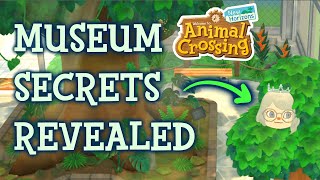 The Secrets of the Museum in Animal Crossing New Horizons