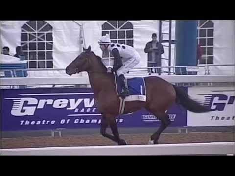 Futura - Champions Cup 2015