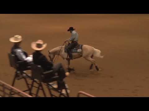 190221 Novice Horse Gilad Susman on Prince Whiz Diamonds